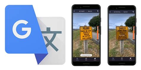 放鳥 語譯|Google 翻譯